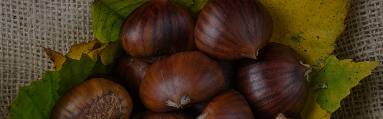 Castagne